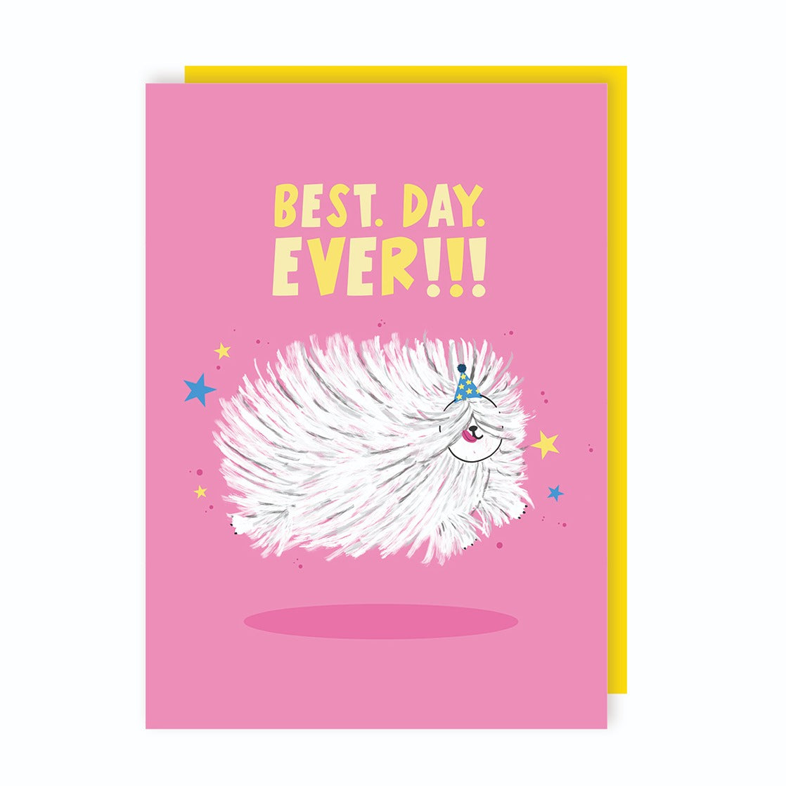 Best Day Ever Birthday Card
