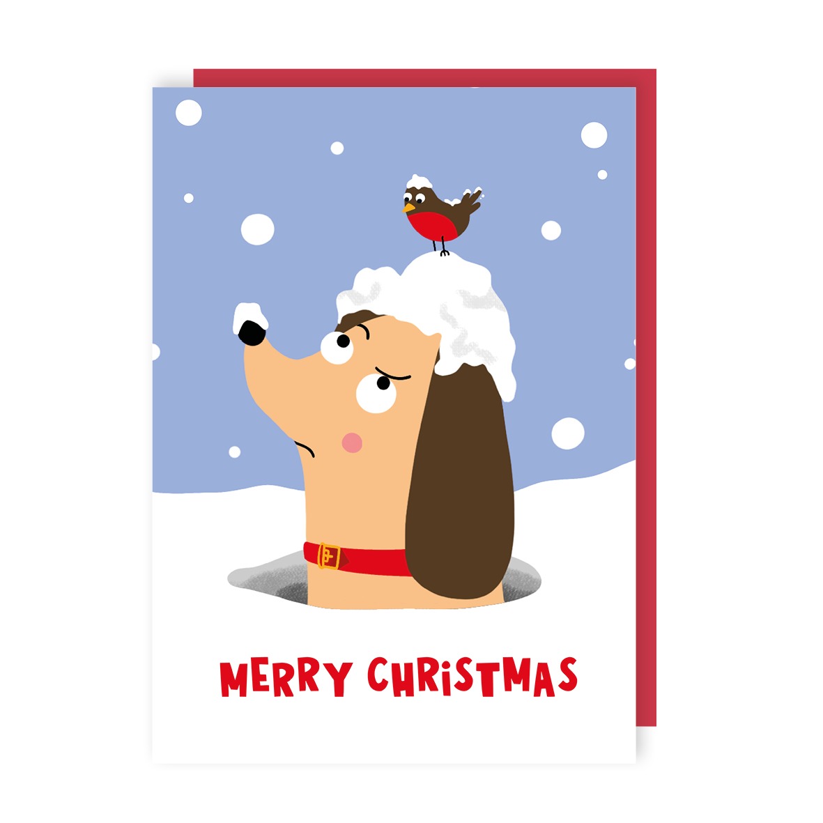 Dog And Robin Christmas Card