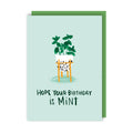 Mint Birthday Card
